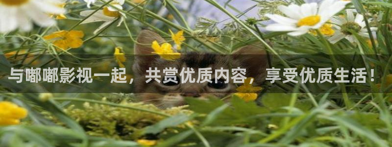 欧美影院在线免费观看：与嘟嘟影视一起，共赏优质内容，享受优质生活！