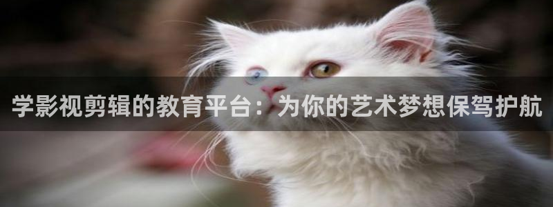 .欧美影院：学影视剪辑的教育平台：为你的艺术梦想保驾护航
