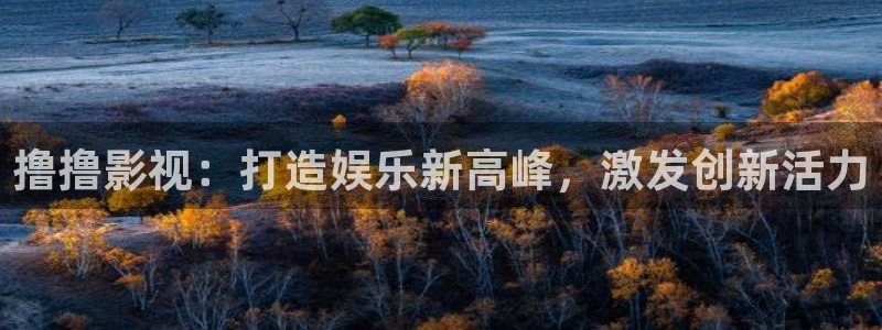 伊人欧美影院：撸撸影视：打造娱乐新高峰，激发创新活力