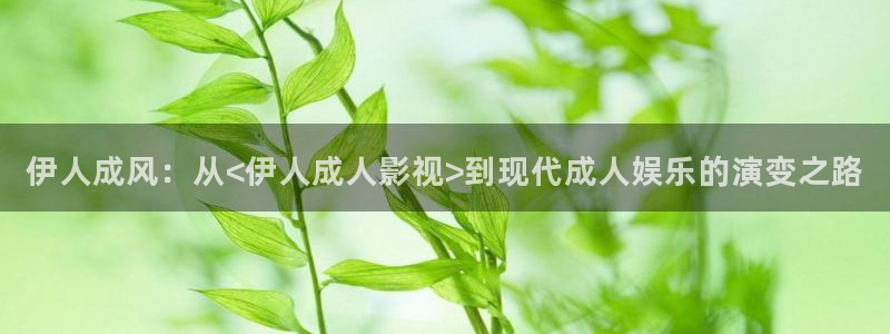 欧美影院激情