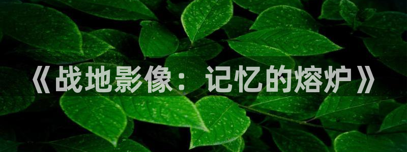 97欧美影院