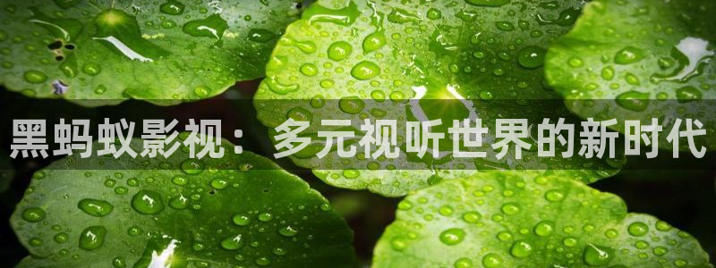 欧美影院第一区：黑蚂蚁影视：多元视听世界的新时代