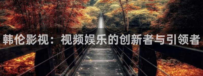欧美影院不卡：韩伦影视：视频娱乐的创新者与引领者