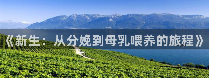 激情欧美影院在线观看