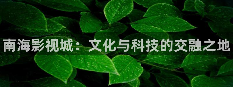 欧美影院不卡：南海影视城：文化与科技的交融之地