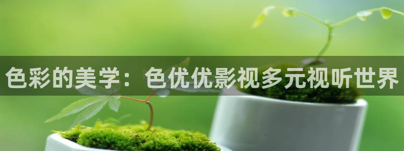 欧美影院在线观看一区二区：色彩的美学：色优优影视多元视听世界